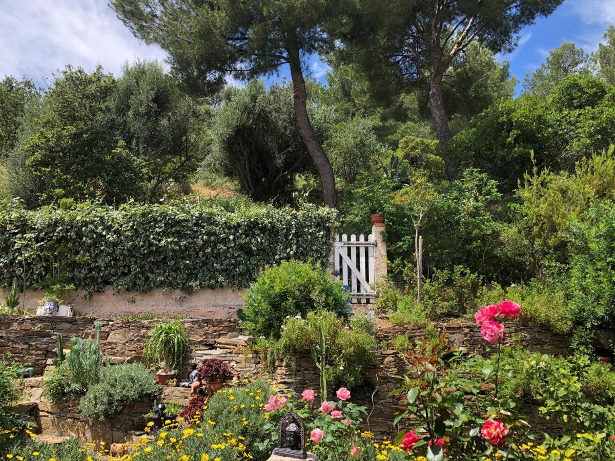 Logement Zen Sur La Colline Aux Mimosas Йер Экстерьер фото